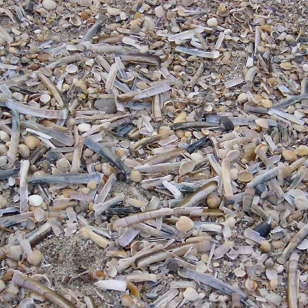 Haus Nordseeresidenz 26 * Vesterland